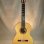 DAVID DAILY – 640 Scale – Spruce and Indian – 1999